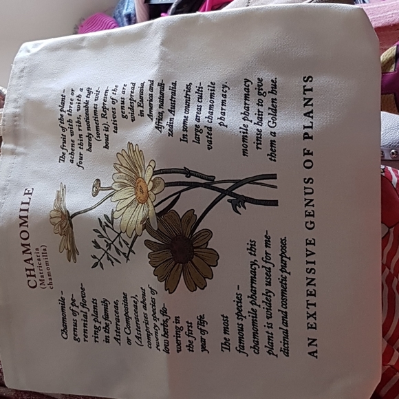 Lovely New Canvas Chamomile Print Bag - Picture 4 of 6